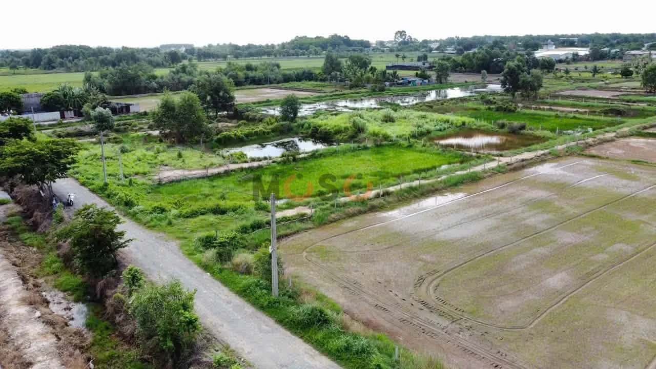 Bán đất Bưng Tràm Huyện Củ Chi, TP.HCM – giá 1.1 tỷ - ảnh 5