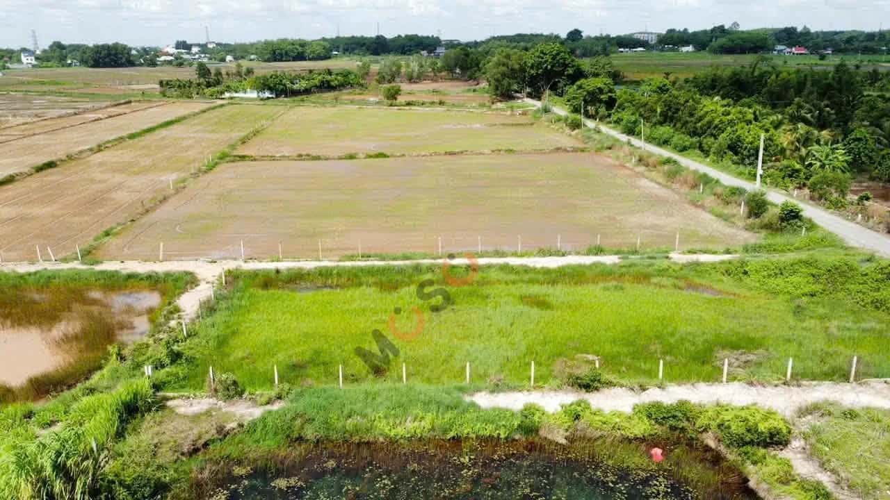 Bán đất Bưng Tràm Huyện Củ Chi, TP.HCM – giá 1.1 tỷ - ảnh 6