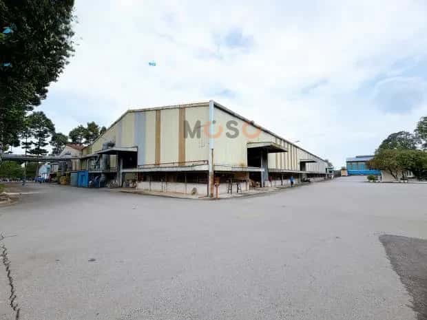 Cho thuê kho, nhà xưởng Đường Điểu Xiển Biên Hòa, Đồng Nai – giá 245 triệu Cho thuê kho, nhà xưởng Đường Điểu Xiển Biên Hòa, Đồng Nai – giá 245 triệu