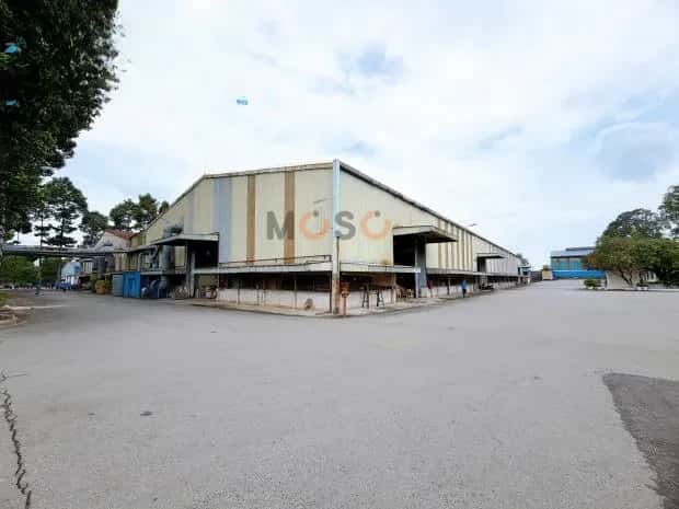 Cho thuê kho, nhà xưởng Đường Điểu Xiển Biên Hòa, Đồng Nai – giá 245 triệu Cho thuê kho, nhà xưởng Đường Điểu Xiển Biên Hòa, Đồng Nai – giá 245 triệu