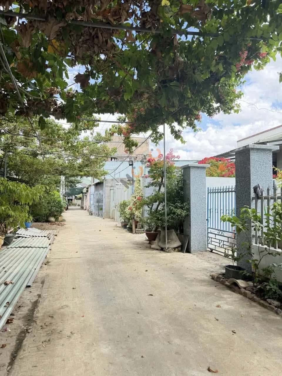 Bán đất thôn Đại Điền Đông 1  Huyện Diên Khánh, Khánh Hòa – giá 1.3 tỷ - ảnh 3