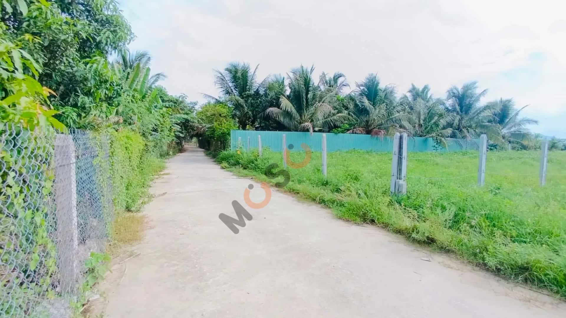 Bán đất thôn Phước Tuy Huyện Diên Khánh, Khánh Hòa – giá 550 triệu — Hình 2 Bán đất thôn Phước Tuy Huyện Diên Khánh, Khánh Hòa – giá 550 triệu — Hình 2