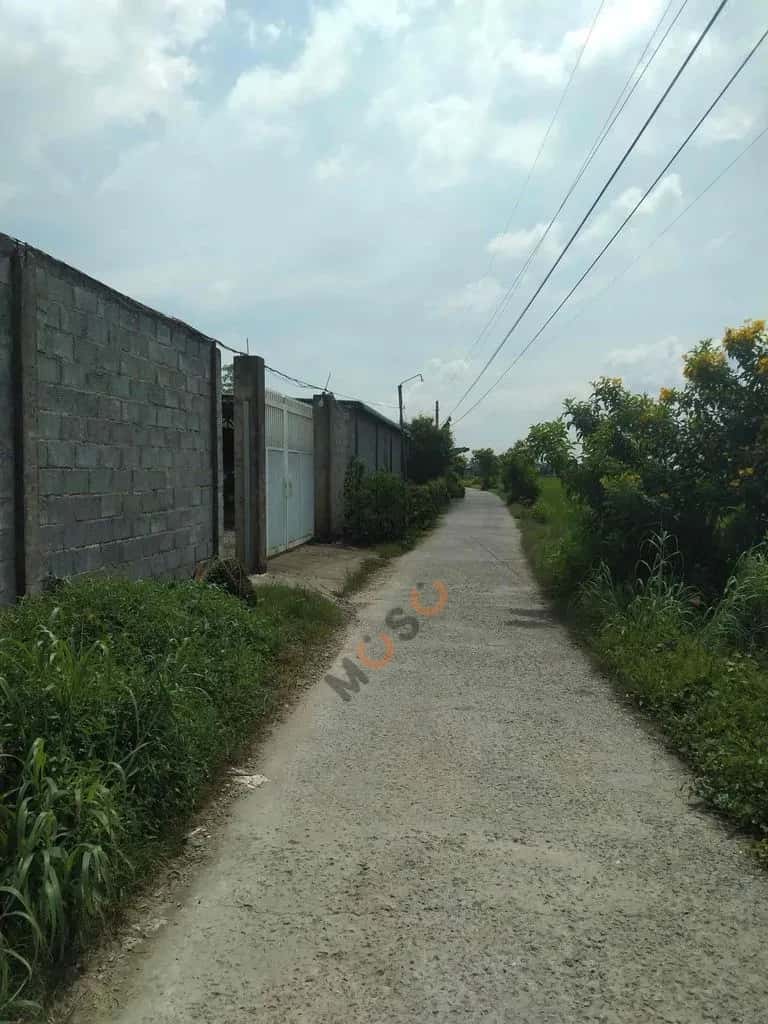 Cho thuê đất Đường tỉnh 833 Huyện Tân Trụ, Tây Ninh – giá 10 triệu — Hình 3 Cho thuê đất Đường tỉnh 833 Huyện Tân Trụ, Tây Ninh – giá 10 triệu — Hình 3