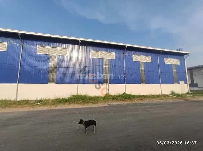 Cho thuê kho, nhà xưởng Quốc Lộ 50 Huyện Cần Giuộc, Tay Ninh – giá 210 triệu — Hình 2