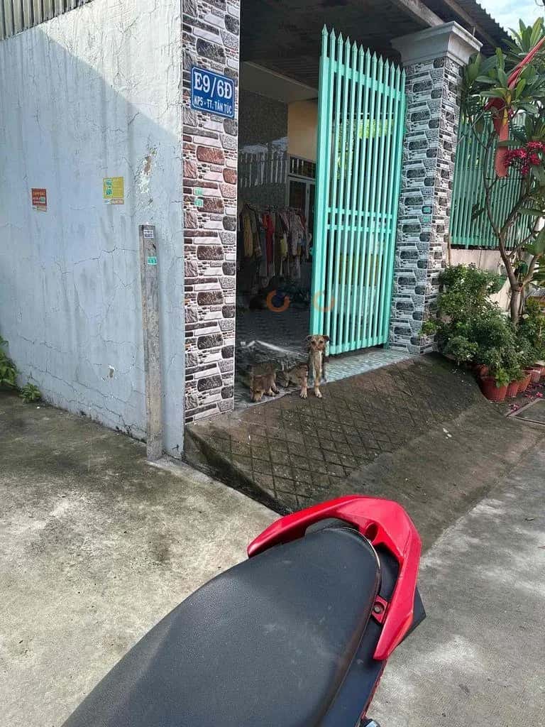 Cho thuê phòng trọ Nguyễn Hữu Trí Tan Nhut, Ho Chi Minh – 1 phòng ngủ, giá 2.9 triệu — Hình 2