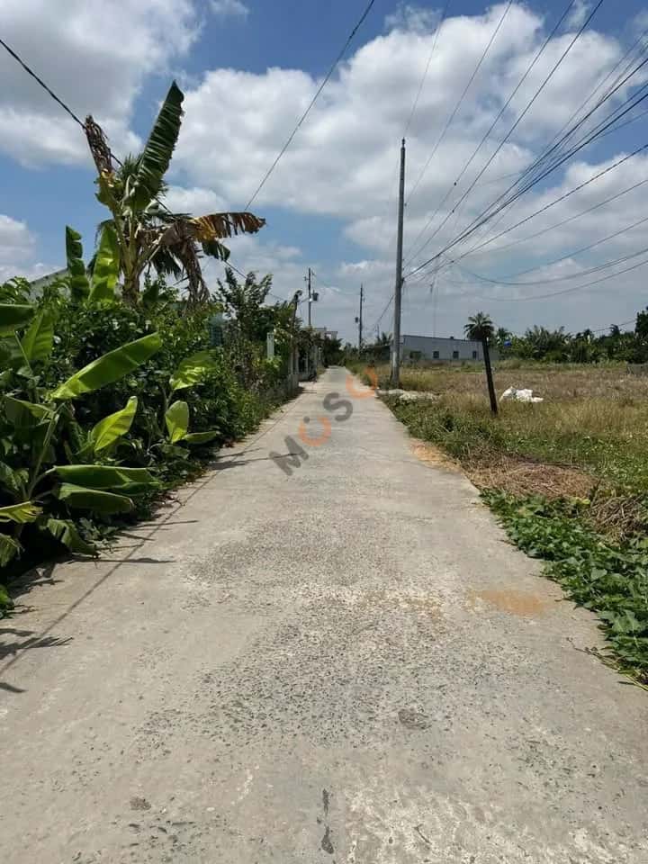 Bán đất Ấp Bào Dài Huyện Châu Thành, Long An – giá 660 triệu — Hình 2 Bán đất Ấp Bào Dài Huyện Châu Thành, Long An – giá 660 triệu — Hình 2