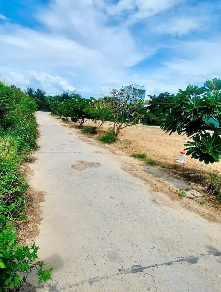 Bán đất hẻm đường 23 Tháng 10 Huyện Diên Khánh, Khánh Hòa – giá 1.8 tỷ - ảnh 2