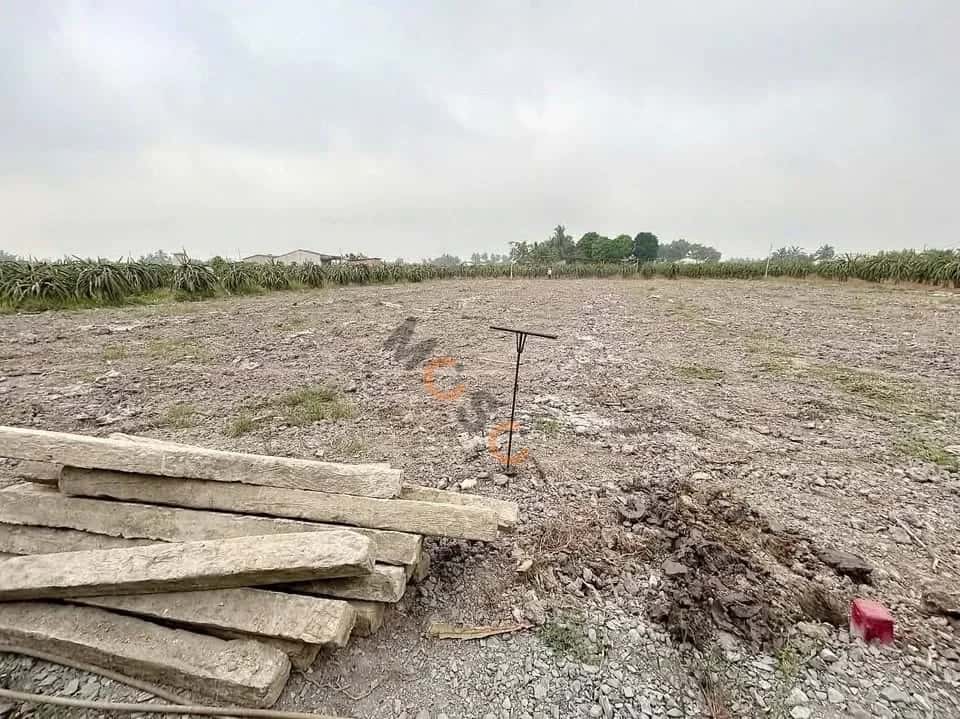Bán đất Ấp Phú Xuân 2 Huyện Châu Thành, Long An – giá 600 triệu