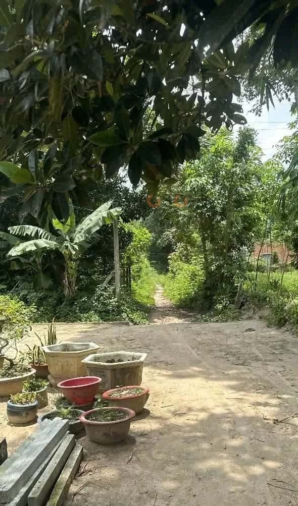 Bán nhà hẻm DT 748 Thành phố Bến Cát, Bình Dương – 2 phòng ngủ, giá 750 triệu — Hình 2 Bán nhà hẻm DT 748 Thành phố Bến Cát, Bình Dương – 2 phòng ngủ, giá 750 triệu — Hình 2