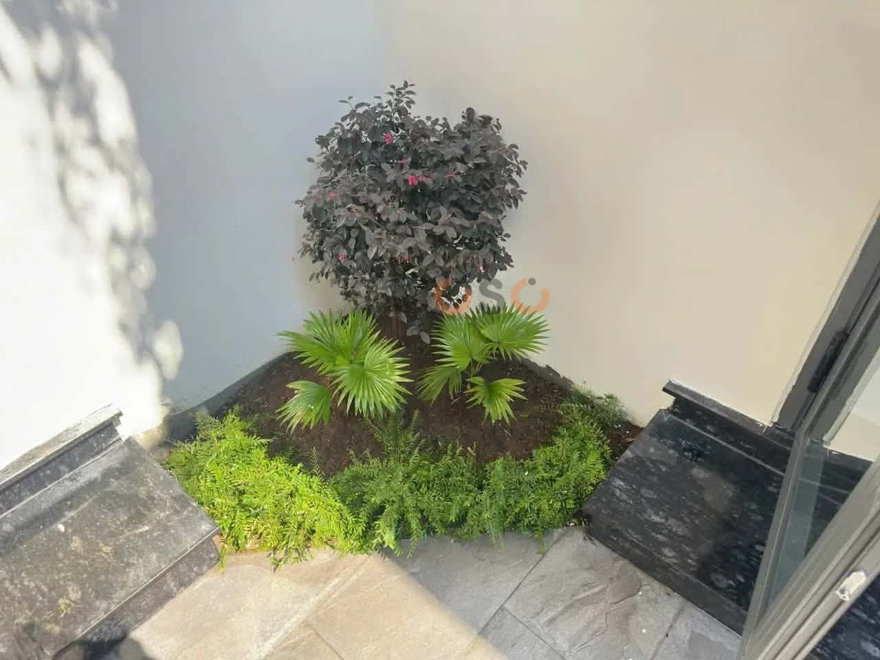 Bán nhà hẻm An Dương Vương Quận Thuận Hóa, TP. Huế – 3 phòng ngủ, giá 3.6 tỷ - ảnh 11