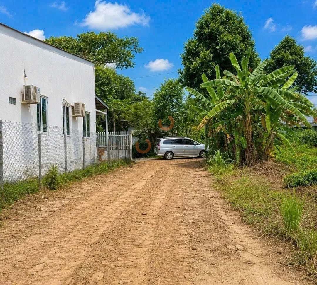 Bán đất đường 25C Huyện Long Hồ, Vĩnh Long – giá 3.3 tỷ — Hình 2