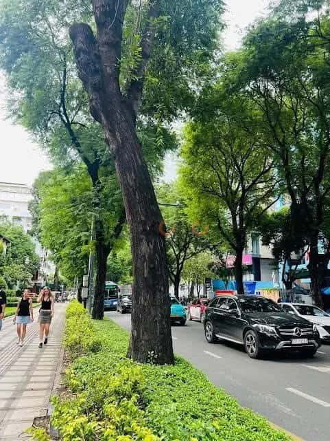 Bán nhà mặt tiền Nam Kỳ Khởi Nghĩa Quận 3, TP.HCM – 29 phòng ngủ, giá 140 tỷ — Hình 2