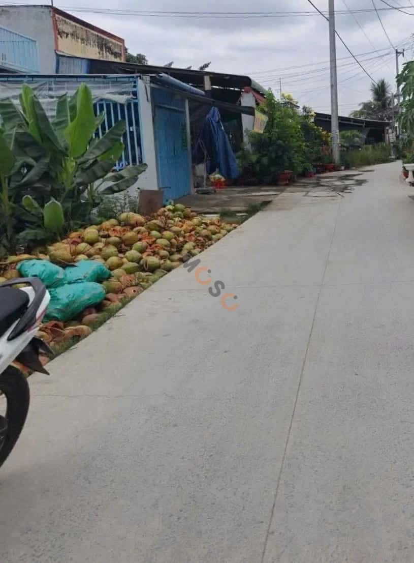 Bán đất Ấp Bình Tiền 1 Huyện Đức Hòa, Long An – giá 1.6 tỷ — Hình 3