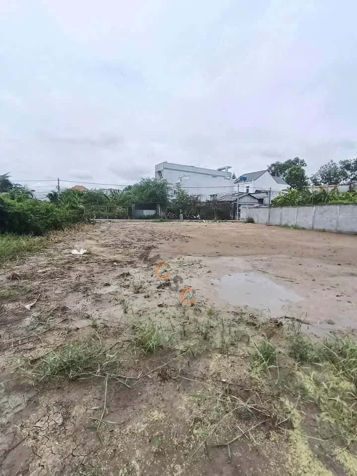 Bán đất hẻm 98 Huỳnh Hữu Thống Thành phố Tân An, Long An – giá 1.6 tỷ - ảnh 1