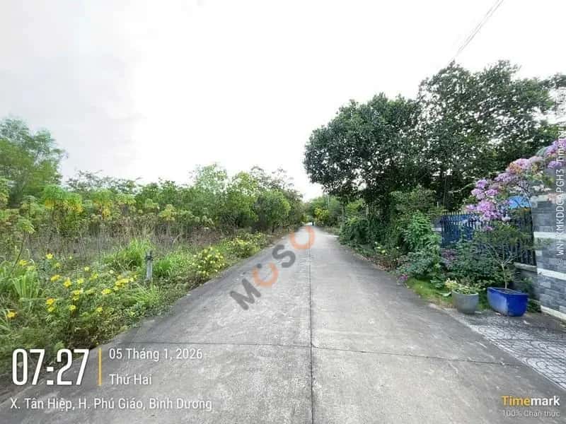 Bán đất Huyện Phú Giáo, Bình Dương – giá 825.2 triệu - ảnh 4
