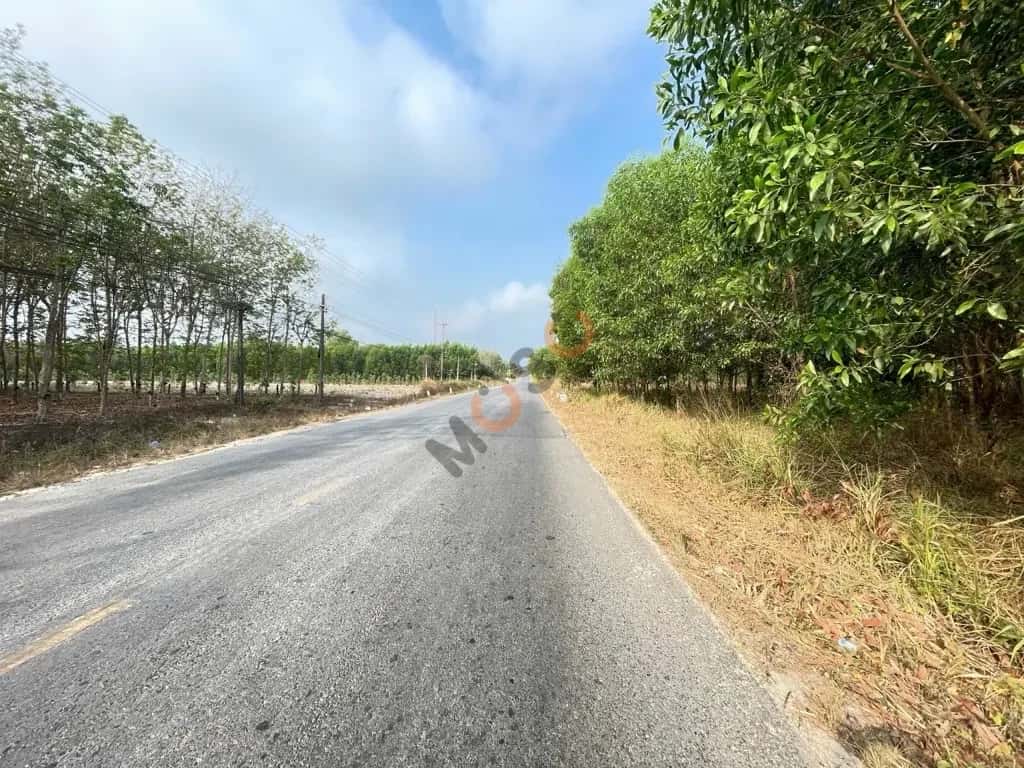 Bán đất Huyện Dầu Tiếng, Bình Dương – giá 1.5 tỷ - ảnh 5