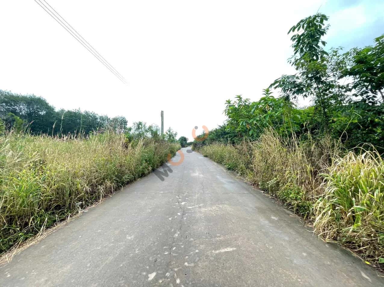 Bán đất Đồng Trâm Huyện Phú Giáo, Bình Dương – giá 723 triệu - ảnh 4