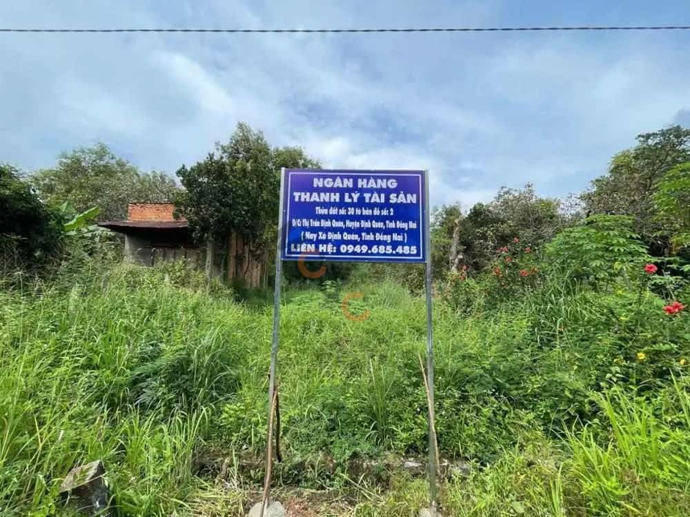 Bán đất Huyện Định Quán, Đồng Nai – giá 1 tỷ - ảnh 5
