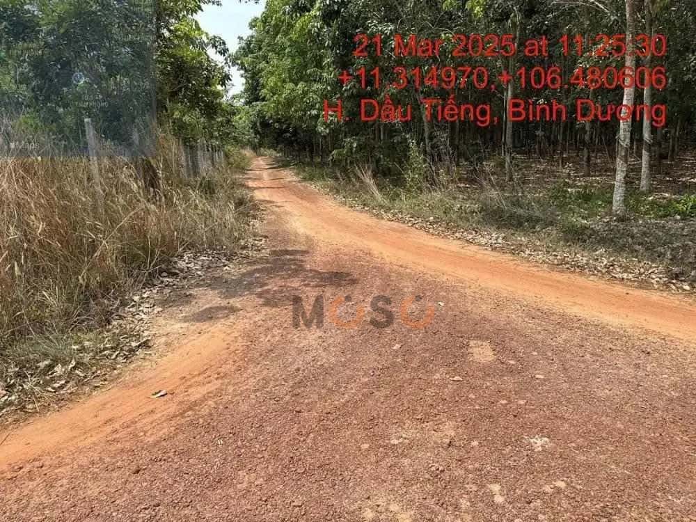 Bán đất Huyện Dầu Tiếng, Bình Dương – giá 866 triệu - ảnh 1