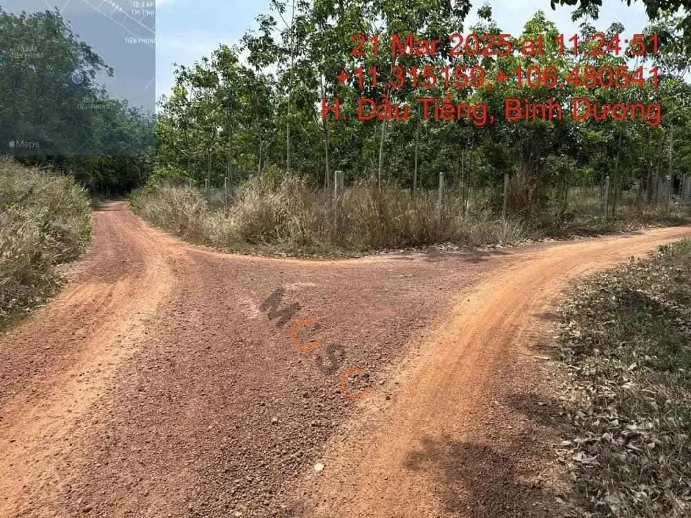 Bán đất Huyện Dầu Tiếng, Bình Dương – giá 866 triệu - ảnh 4