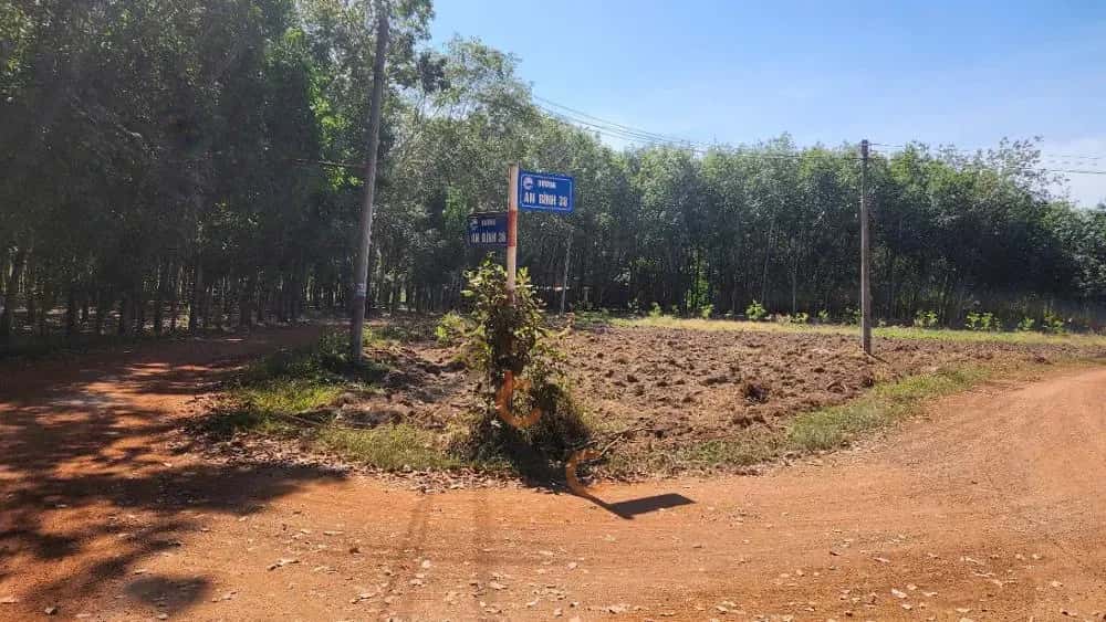 Bán đất An Bình Huyện Phú Giáo, Bình Dương – giá 936 triệu - ảnh 4