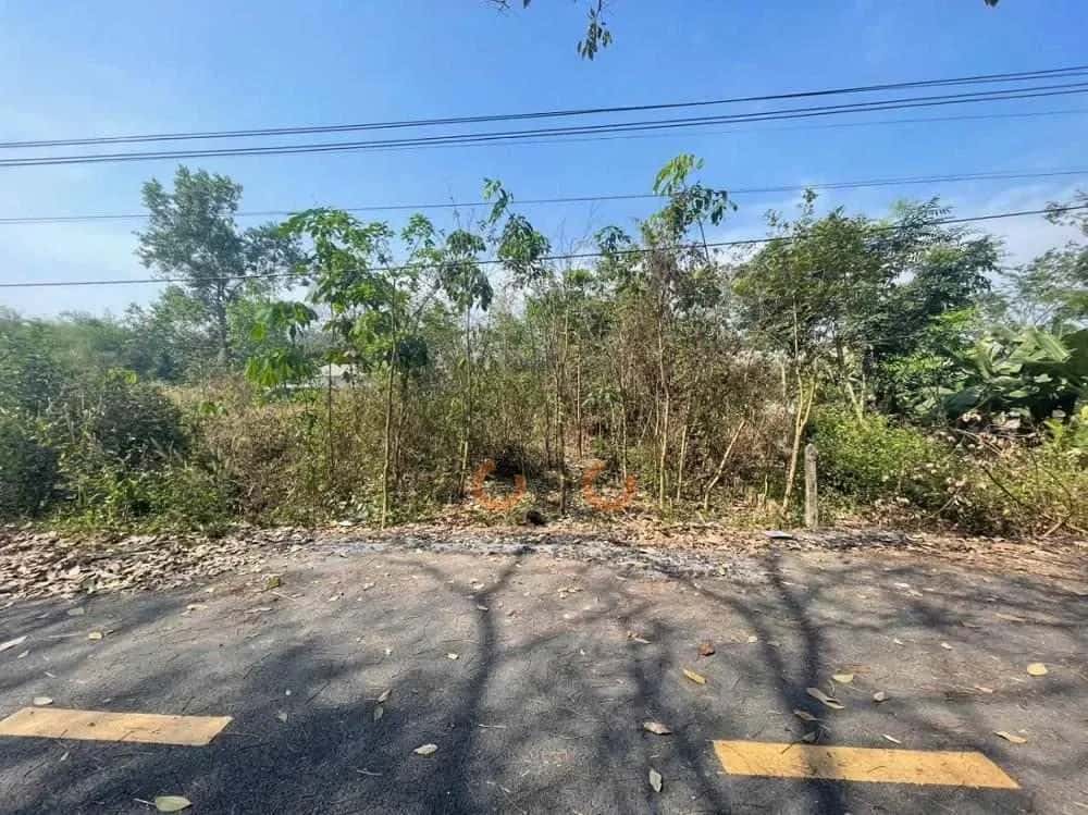 Bán đất Huyện Phú Giáo, Bình Dương – giá 528.1 triệu - ảnh 5