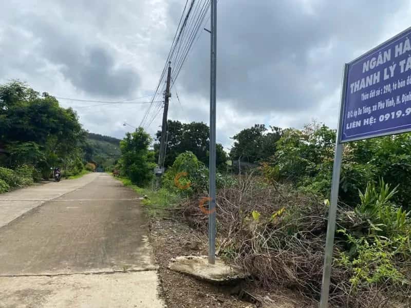 Bán đất Huyện Định Quán, Đồng Nai – giá 993.6 triệu - ảnh 4