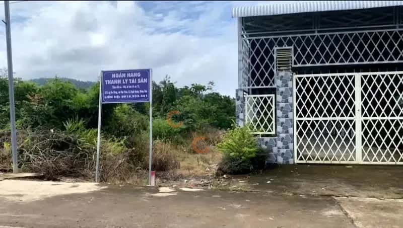 Bán đất Huyện Định Quán, Đồng Nai – giá 993.6 triệu - ảnh 5