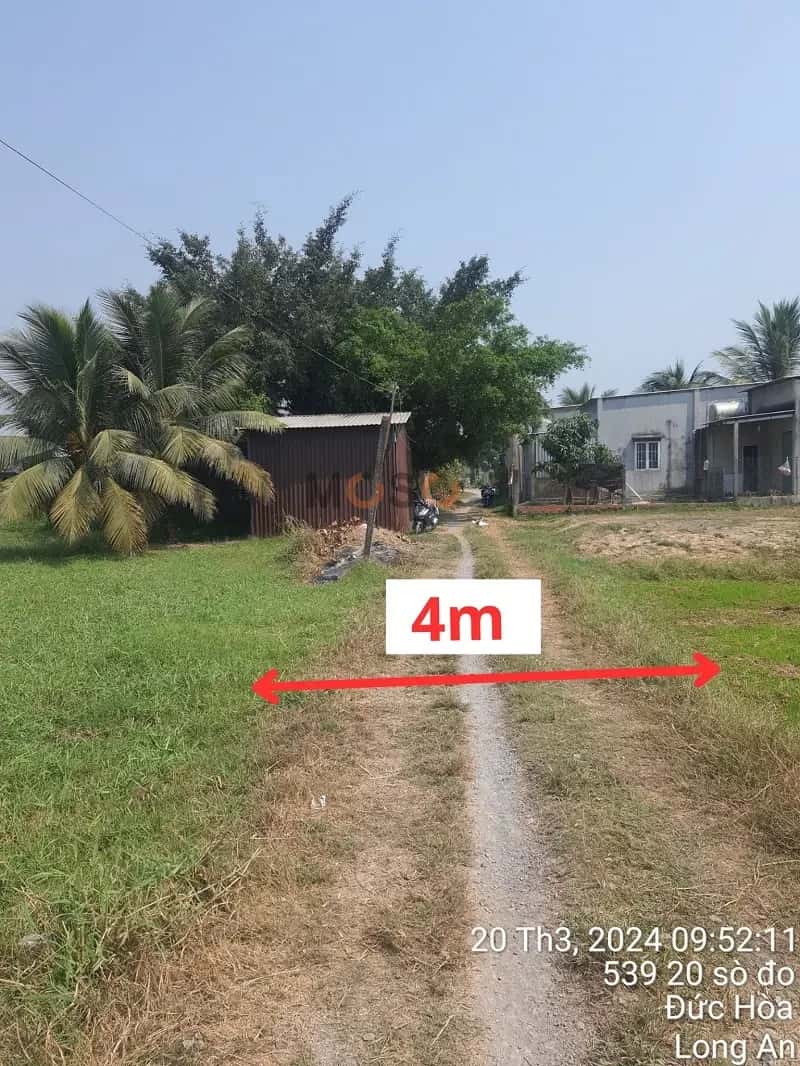 Bán đất 20 sò đo Huyện Đức Hòa, Long An – giá 1.8 tỷ - ảnh 5