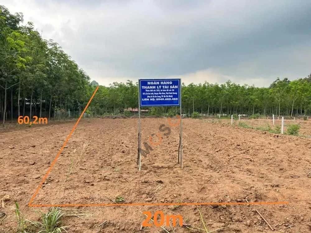 Bán đất Huyện Phú Giáo, Bình Dương – giá 1.6 tỷ - ảnh 5