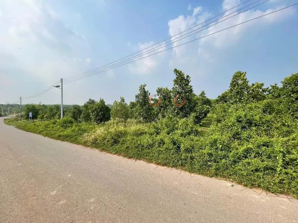 Bán đất Huyện Phú Giáo, Bình Dương – giá 1.3 tỷ - ảnh 5