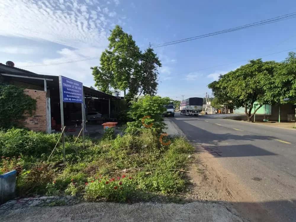 Bán đất Huyện Phú Giáo, Bình Dương – giá 1.3 tỷ - ảnh 5