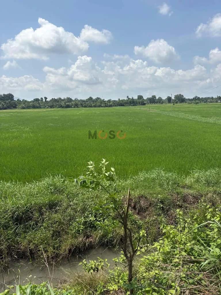 Bán đất ấp Lác Chiếu Thành phố Long Khánh, Đồng Nai – giá 2.1 tỷ - ảnh 1