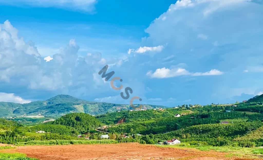 Bán đất đường DH93 Huyện Lâm Hà, Lâm Đồng – giá 370 triệu - ảnh 1