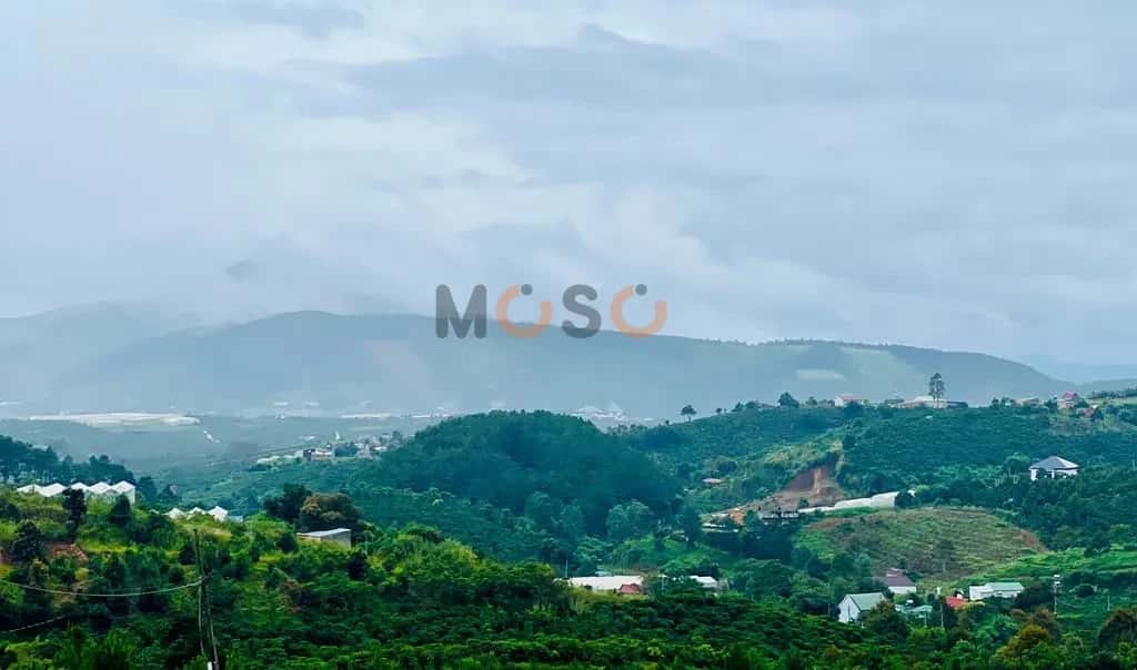 Bán đất đường DH93 Huyện Lâm Hà, Lâm Đồng – giá 370 triệu - ảnh 4