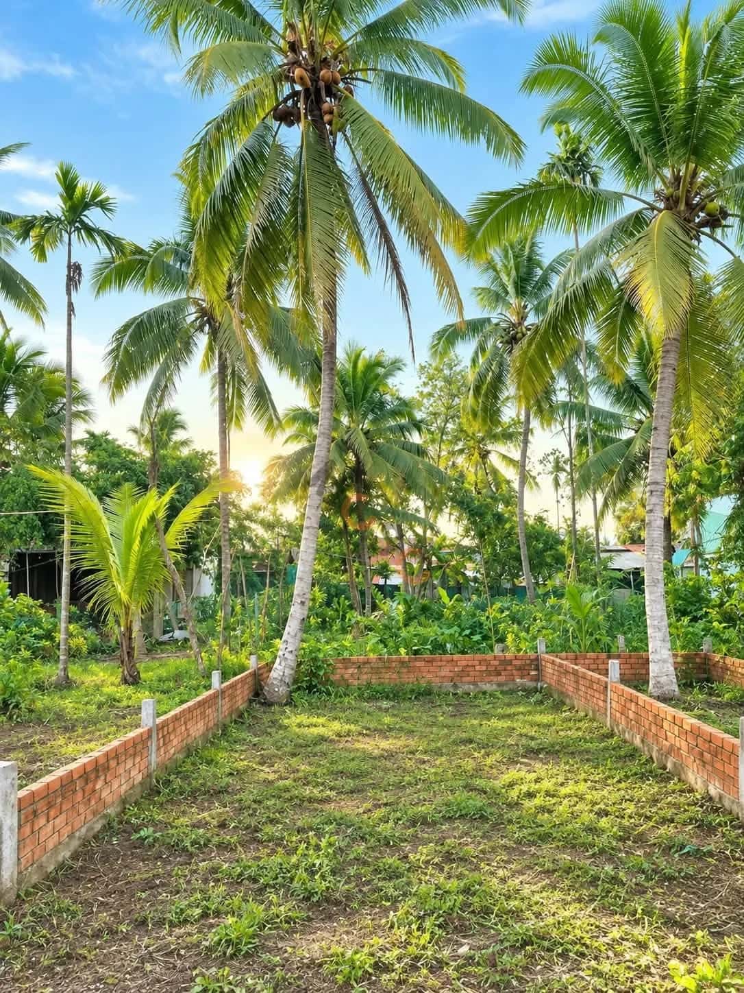 Bán đất Nguyễn Viết Xuân  Quận Bình Thuỷ, TP. Cần Thơ – giá 850 triệu