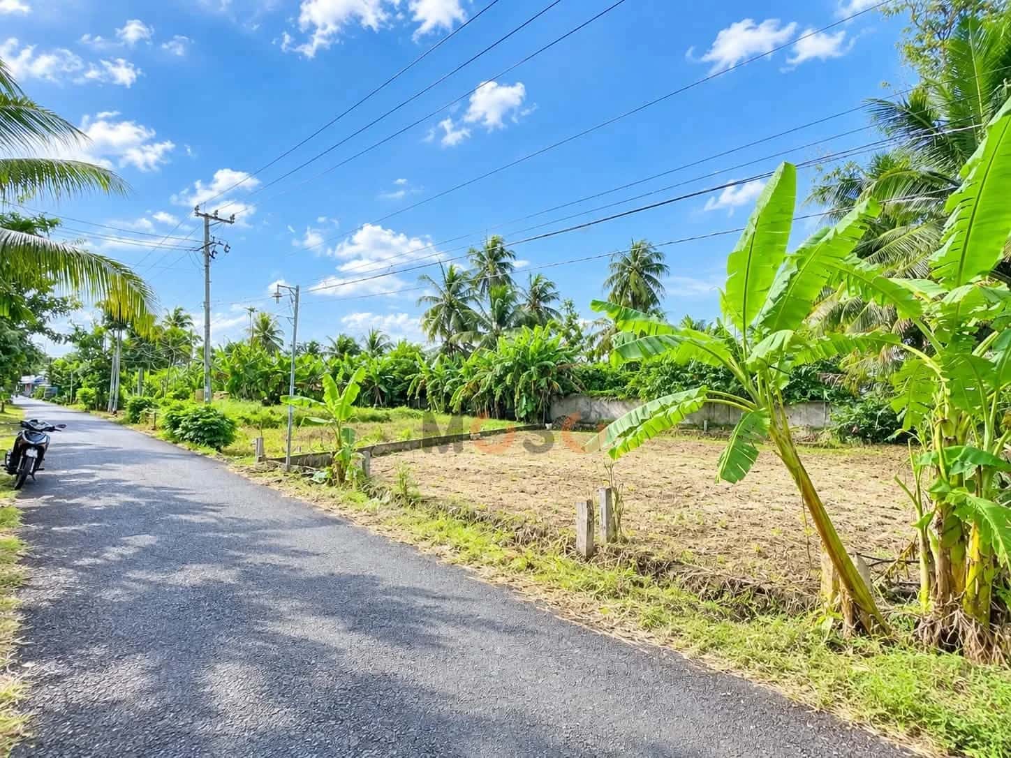 Bán đất Nguyễn Viết Xuân Quận Bình Thuỷ, TP. Cần Thơ – giá 1.1 tỷ — Hình 2 Bán đất Nguyễn Viết Xuân Quận Bình Thuỷ, TP. Cần Thơ – giá 1.1 tỷ — Hình 2
