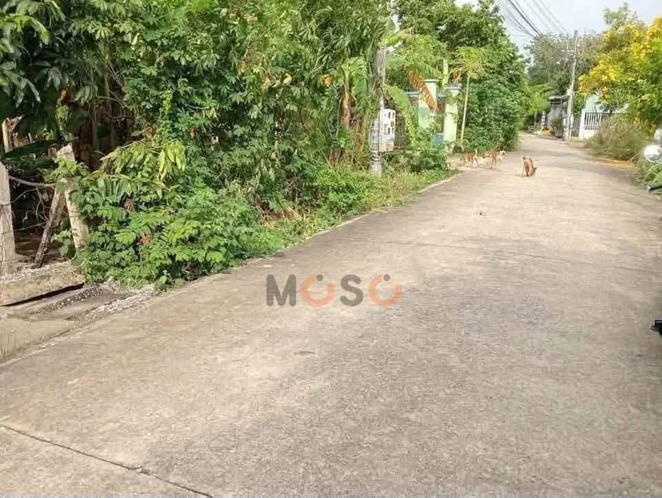 Bán đất Phú An 39 Thành phố Bến Cát, Bình Dương – giá 1.4 tỷ — Hình 3