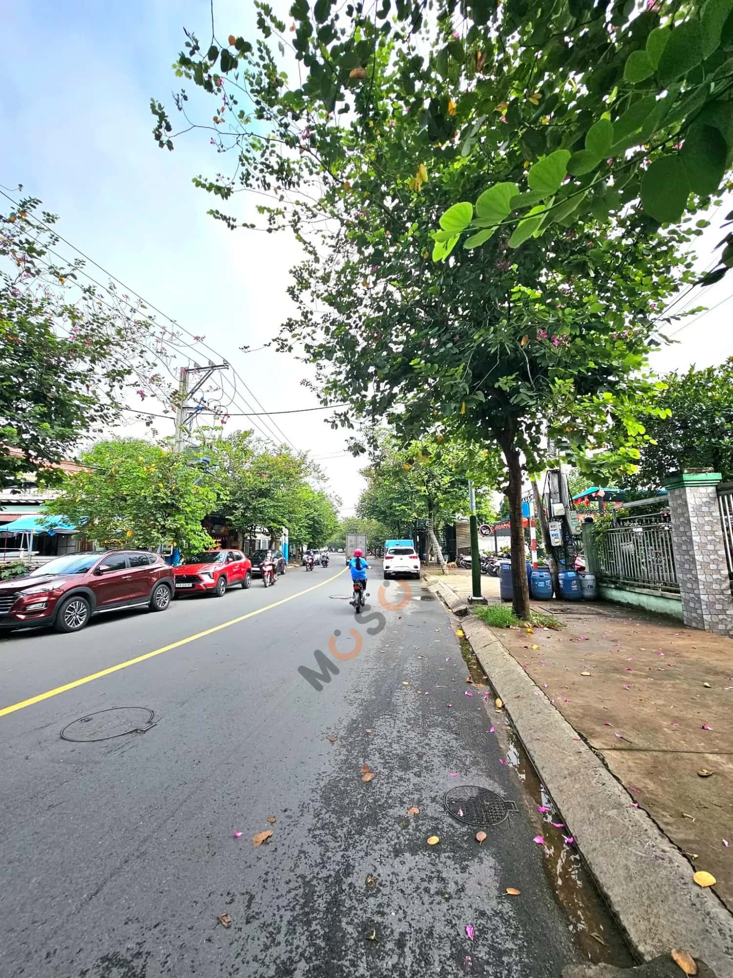 Bán đất Chiêu Liêu Thành phố Dĩ An, Bình Dương – giá 14 tỷ — Hình 3 Bán đất Chiêu Liêu Thành phố Dĩ An, Bình Dương – giá 14 tỷ — Hình 3