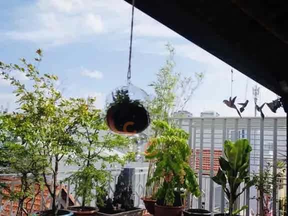 Cho thuê căn hộ chung cư Thành Thái Quận 10, TP.HCM – 1 phòng ngủ, giá 10 triệu — Hình 3