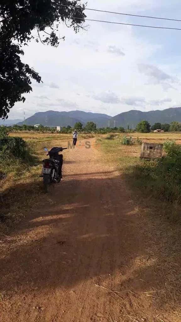Bán đất Thôn Hải Thủy Huyện Bắc Bình, Bình Thuận – giá 4.5 tỷ — Hình 3
