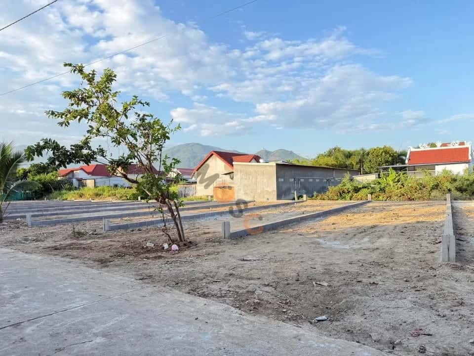 Bán đất Thôn Đại Điền Đông 1, Hẻm đường Đồng Khởi Huyện Diên Khánh, Khánh Hòa – giá 1.3 tỷ Bán đất Thôn Đại Điền Đông 1, Hẻm đường Đồng Khởi Huyện Diên Khánh, Khánh Hòa – giá 1.3 tỷ