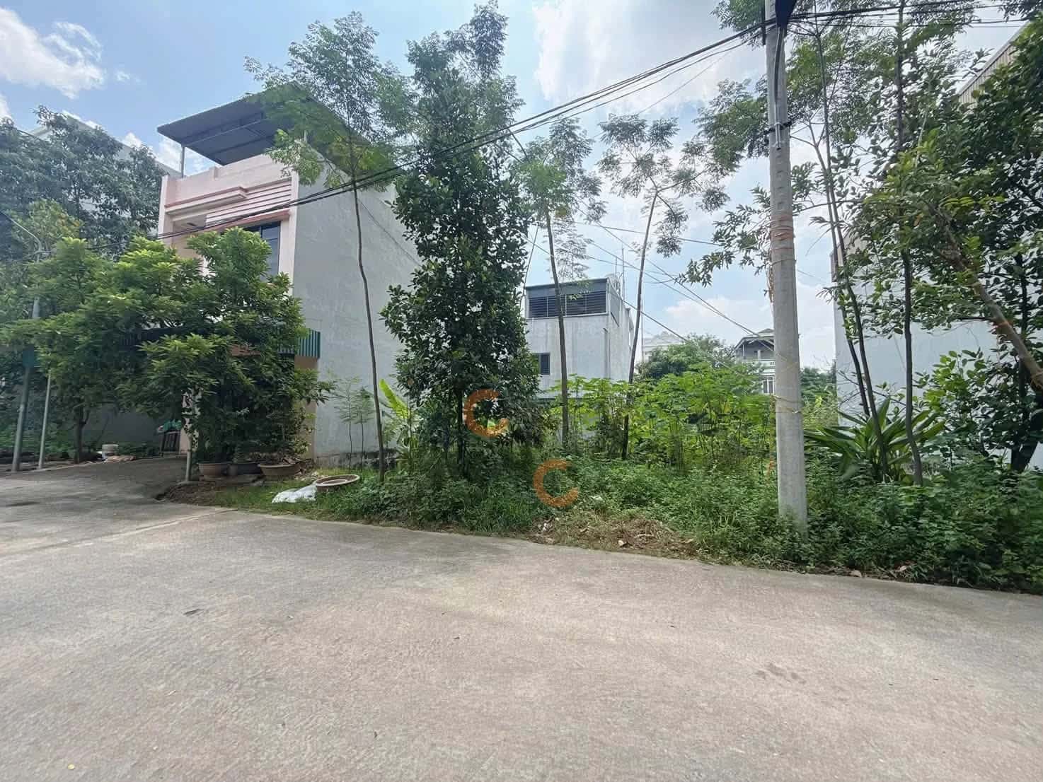 Bán đất Đồng Vũ, khu 14 Thành phố Việt Trì, Phú Thọ – giá 3.3 tỷ Bán đất Đồng Vũ, khu 14 Thành phố Việt Trì, Phú Thọ – giá 3.3 tỷ