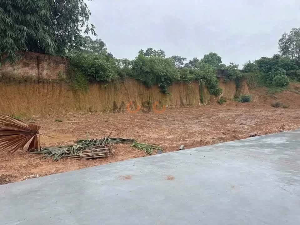 Bán đất khu 11 Huyện Lâm Thao, Phú Thọ – giá 400 triệu — Hình 2 Bán đất khu 11 Huyện Lâm Thao, Phú Thọ – giá 400 triệu — Hình 2