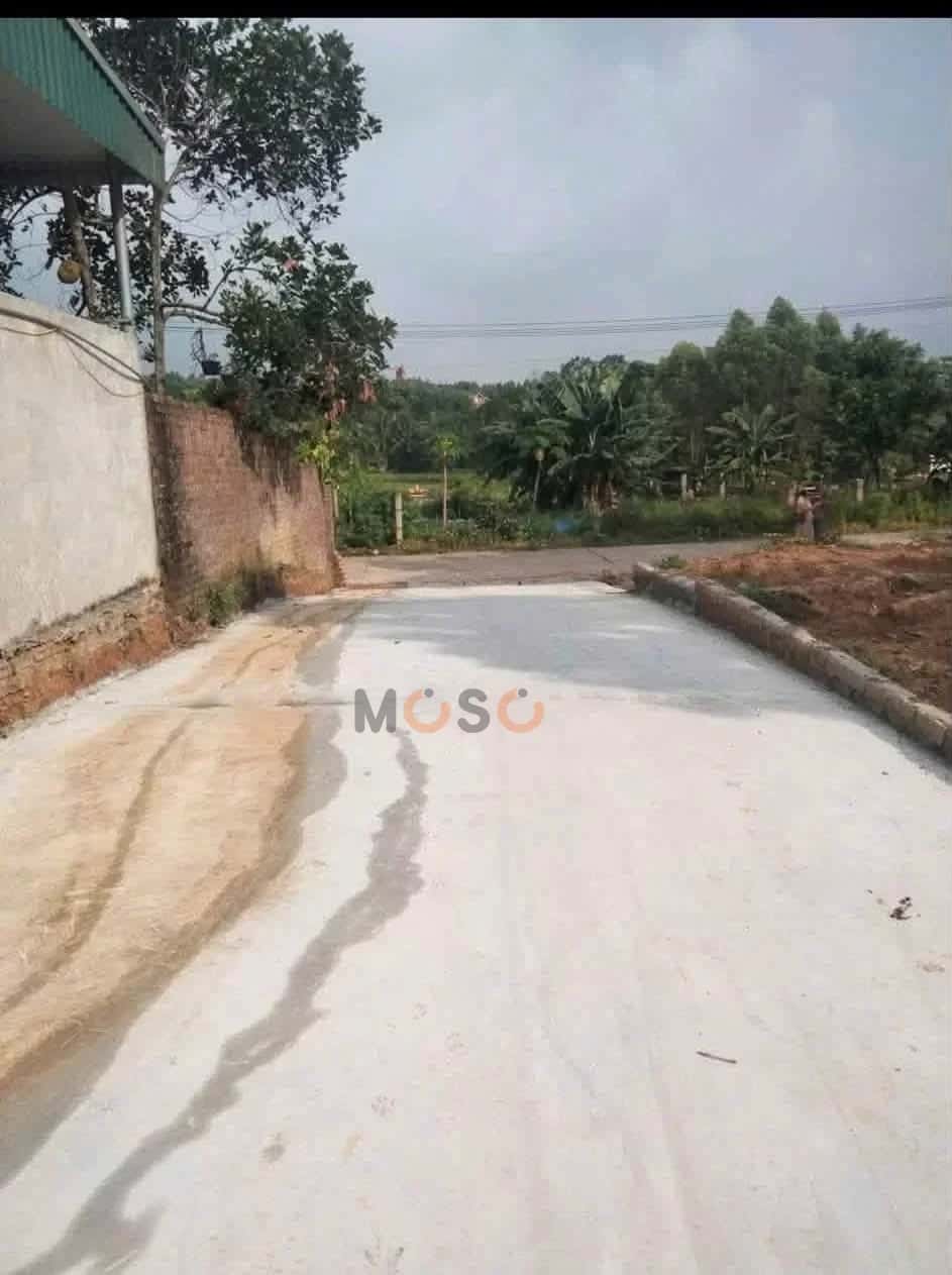 Bán đất khu 11 Huyện Lâm Thao, Phú Thọ – giá 400 triệu — Hình 3 Bán đất khu 11 Huyện Lâm Thao, Phú Thọ – giá 400 triệu — Hình 3