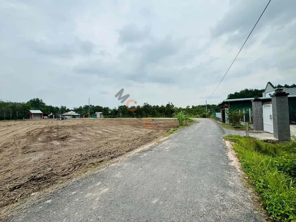 Bán đất Ấp Cẩm An Huyện Gò Dầu, Tây Ninh – giá 590 triệu Bán đất Ấp Cẩm An Huyện Gò Dầu, Tây Ninh – giá 590 triệu