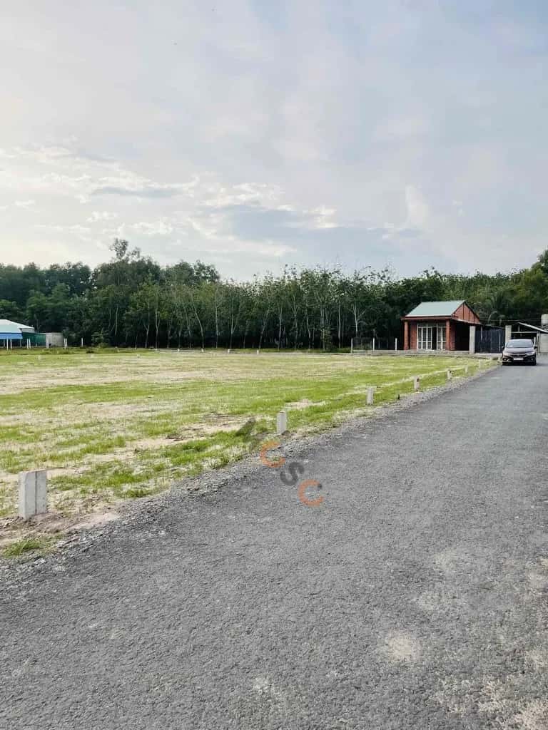 Bán đất Ấp Cẩm An Huyện Gò Dầu, Tây Ninh – giá 590 triệu — Hình 2 Bán đất Ấp Cẩm An Huyện Gò Dầu, Tây Ninh – giá 590 triệu — Hình 2