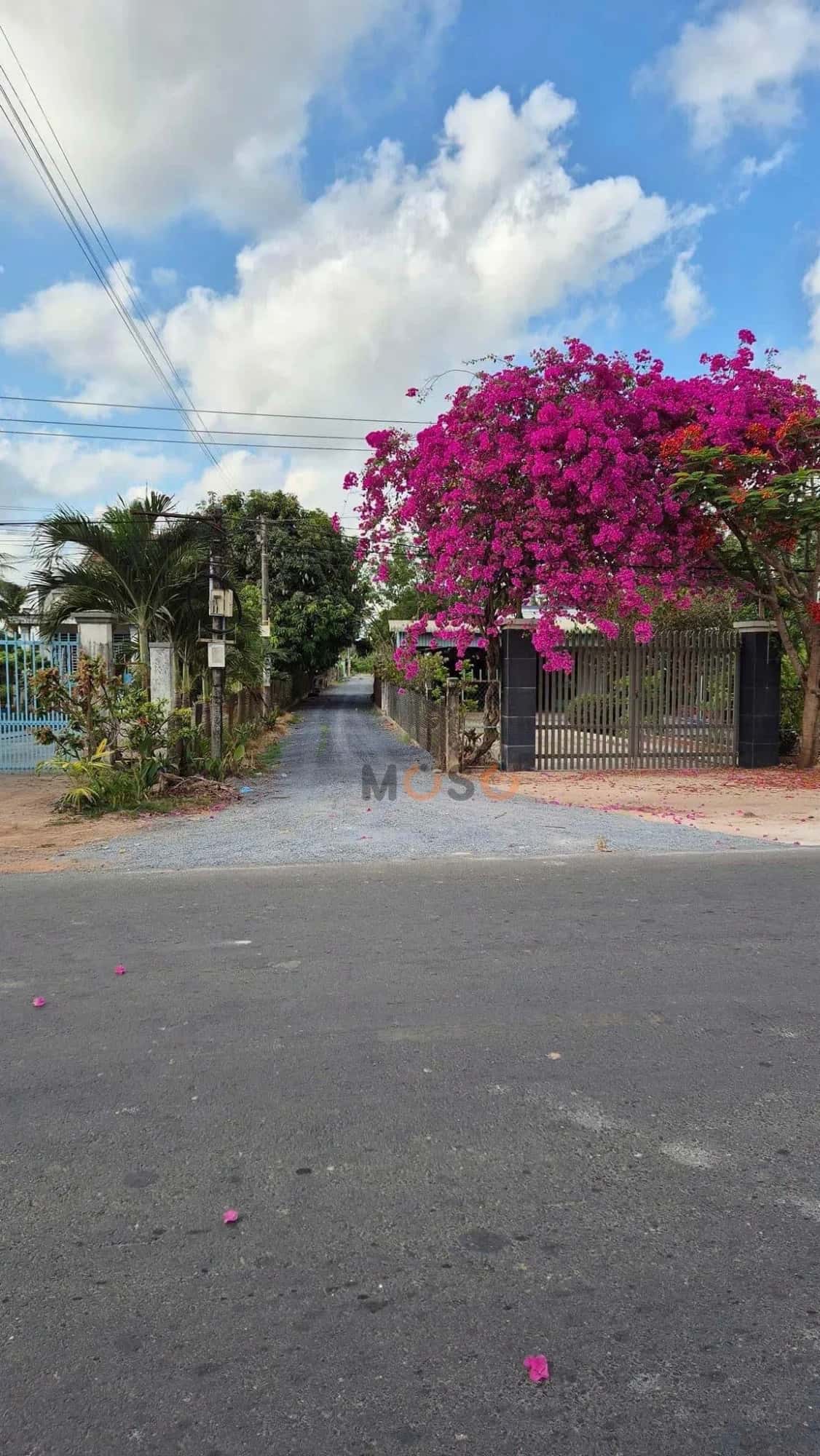 Bán đất Ấp Sa Nghe Huyện Châu Thành, Tây Ninh – giá 280 triệu — Hình 3 Bán đất Ấp Sa Nghe Huyện Châu Thành, Tây Ninh – giá 280 triệu — Hình 3
