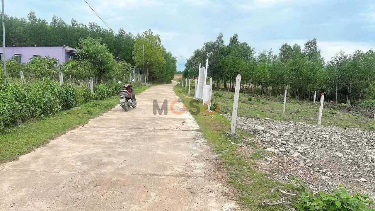 Bán đất Thôn Cà Hon Huyện Khánh Vĩnh, Khánh Hòa – giá 190 triệu — Hình 3