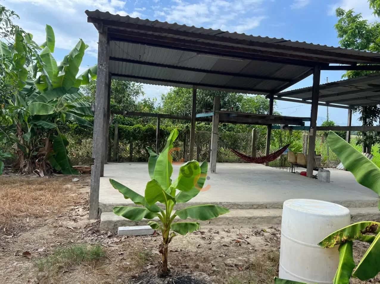 Bán đất Thôn Hội Xương Huyện Diên Khánh, Khánh Hòa – giá 569 triệu — Hình 2